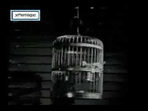 OST Korban Fitnah 1959 - Burung Dalam Sangkar 2 - Mustafa Osman, Maria Menado