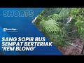 Sopir Bus Wisata Sempat Berteriak Rem Blong Hingga Akhirnya Bus Masuk Ke Jurang Sedalam 10 Meter