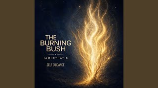 The Burning Bush - Self Guidance