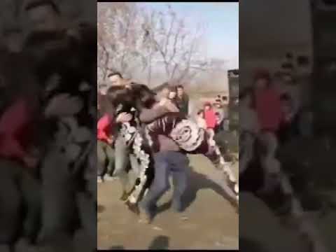 #zapal ZAPAL SHARMADA RAQS