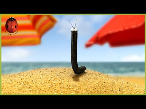 Thievish As A Magpie | Minuscule 🍃 50' Compilation