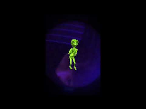 majselo - zawroty glowy