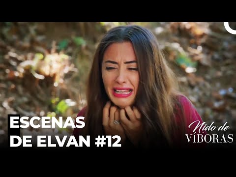 Escenas De Elvan #12 - Nido De Víboras