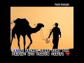 Hazrat Umar In Jerusalem History Shorts