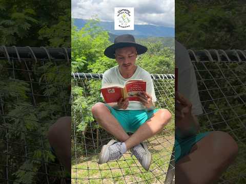 Promoción Glamping Horizon Forest - Anapoima, Cundinamarca