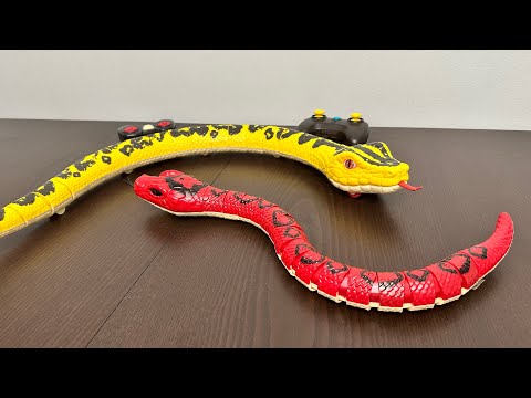 Terra RC Snake Giant Anaconda VS Rainbow Boa Toys Unboxing 