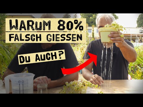 Durch richtiges Gießen Wasser, Arbeit und Zeit sparen. Gießtrick im Hochsommer für Töpfe und Beete