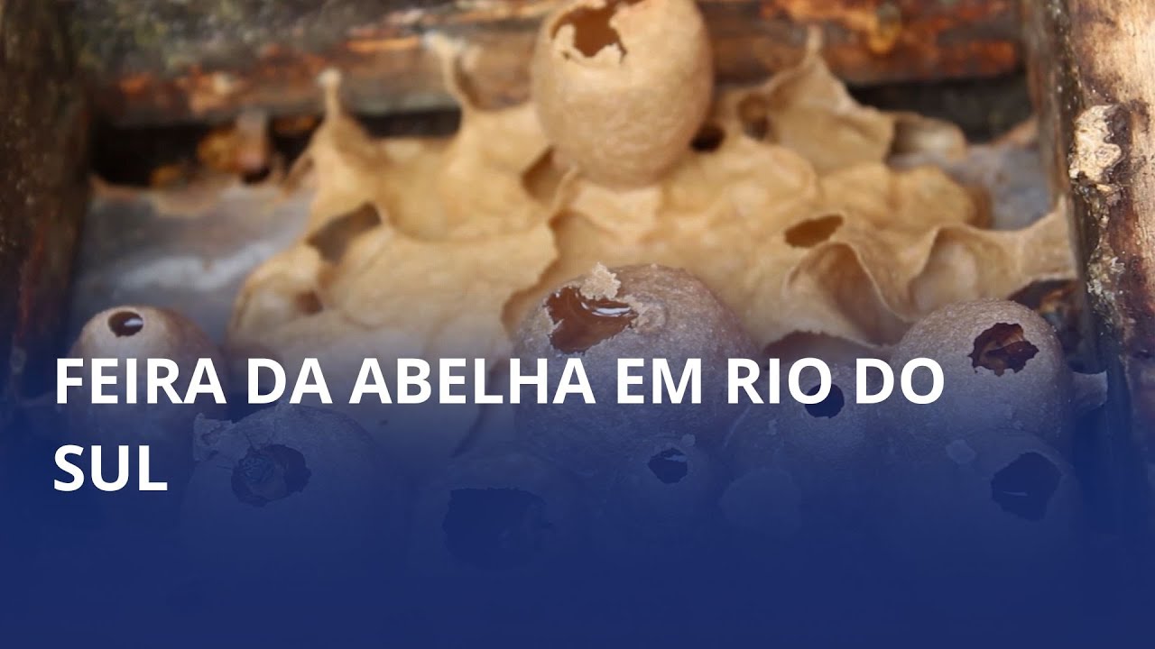 Feira da Abelha será realizada neste domingo, no Mercado Público de Rio do Sul