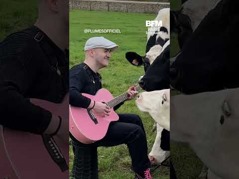 PORTRAIT : PLUMES CHANTE POUR LES ANIMAUX !