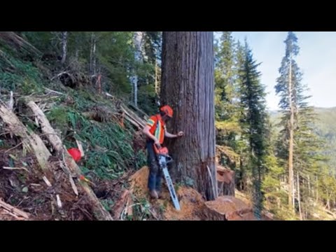 TLDW: Finishing a block with big wood and hazards