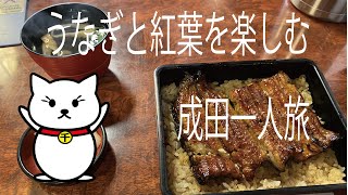 成田でうなぎと紅葉を楽しむ一人旅ツアー