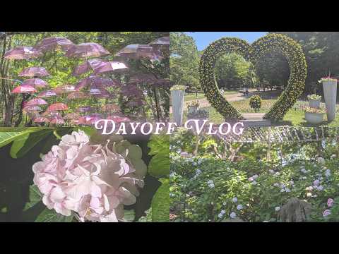 休日Vlog ～あじさい～
