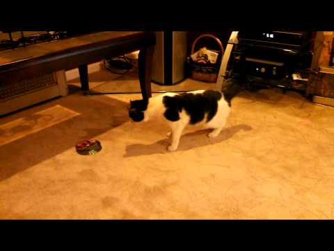 Leela vs. Worlds Scariest CD's