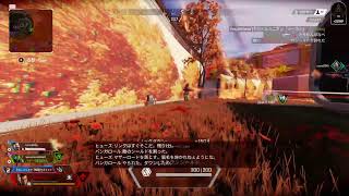 久しぶりにAPEX