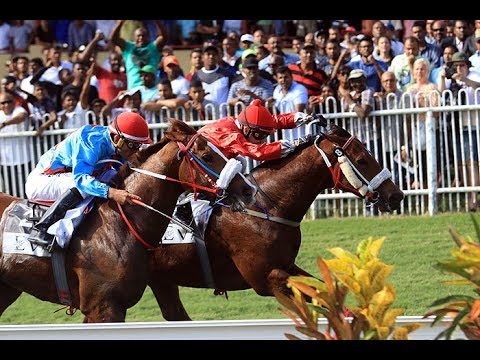 Nottinghamshire - The Noble Salute Evaco 17th Anniversary Cup (G3)