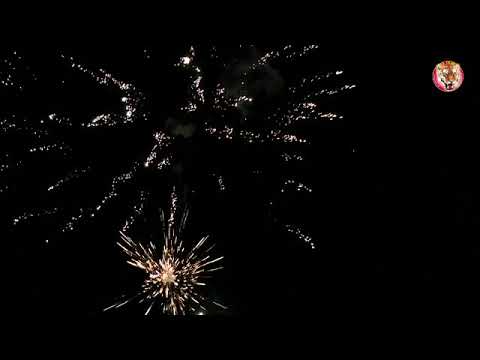 COMPACT 25CPS BAHAMAS® BLINK