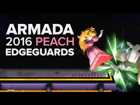 Armada's 2016 Peach Edgeguards