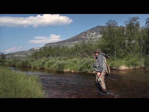 Trout in Sight