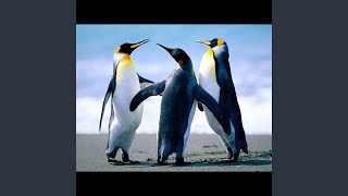 Personal Daydream in the Rain