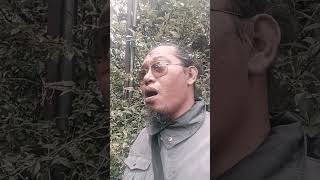 Download lagu Gelas Retak♡♡♡ mp3