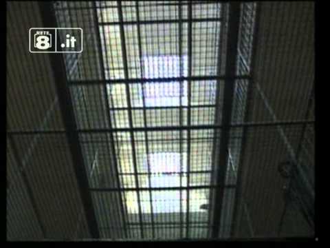 Sulmona, l'aglio rosso dei... detenuti