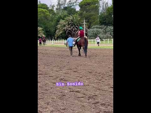 Hípicas Carlos Tejedor