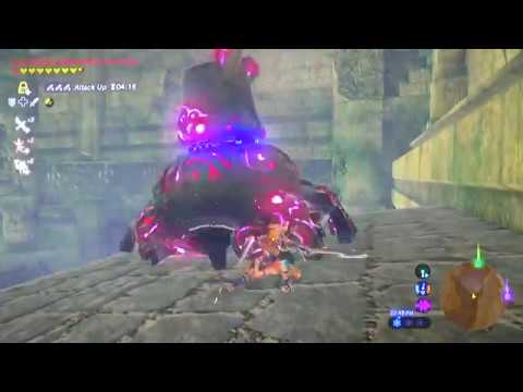 Forgotten Temple Botw
