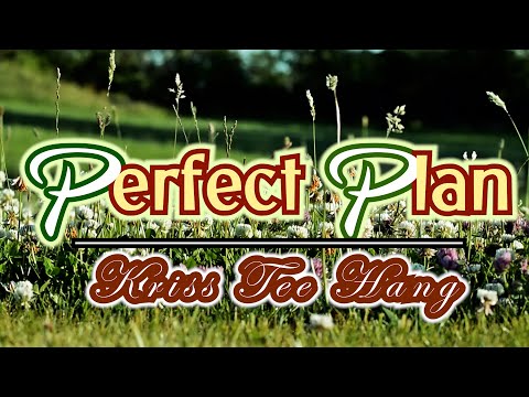 A Perfect Plan/ Kriss Tee Hang
