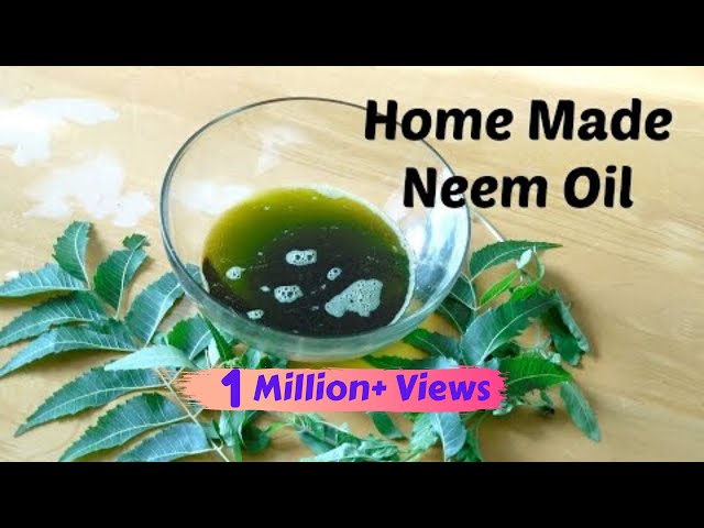 Video Pronunciation of neem in English
