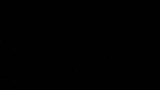 嵐　Power of the Paradise