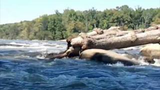 Pony Pasture Rapids on the James River - Fall 2010