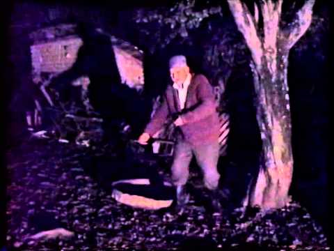 Pun mesec nad Radjevinom-Obicaji Radjevine-Dobrivoje i Dobrila Pantelic