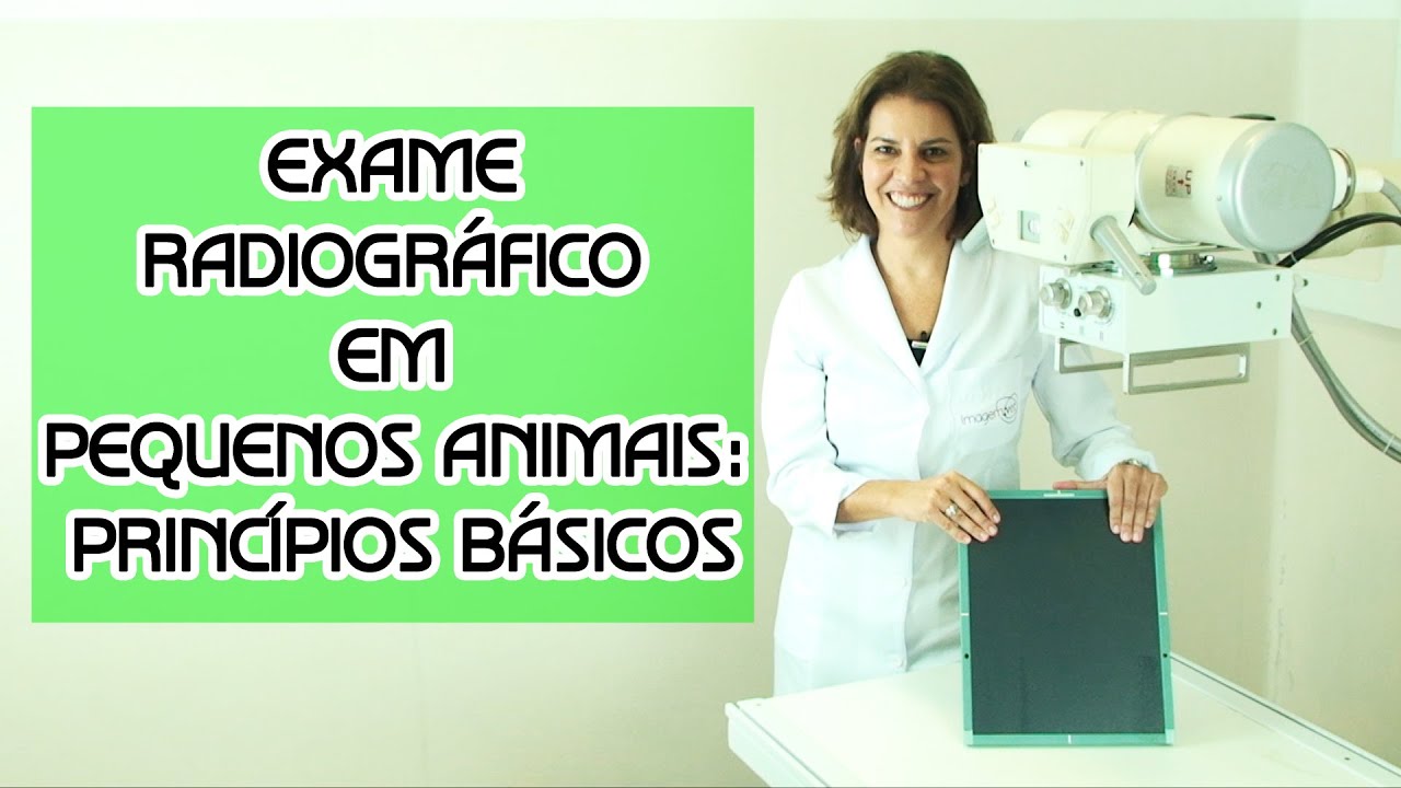 Exame radiográfico em pequenos animais: princípios básicos