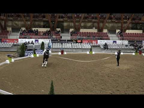 Lara Andrew freestyle