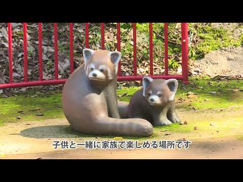 【福井県鯖江市】西山公園に行ってきた！【さばかん】