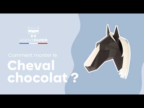 Cheval - vidéo de présentation