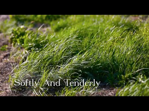 287 SDA Hymn - Softly and Tenderly (Singing w/ Lyrics)