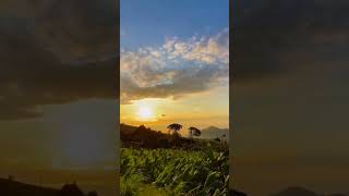 Download lagu cinematic video pemandangan alam mp3