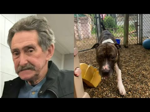 Pit bull shot, killed by Lunenburg officer during mauling of 75-year-old man