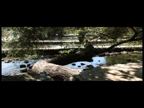 Mike Turany - Mark 13:1-37