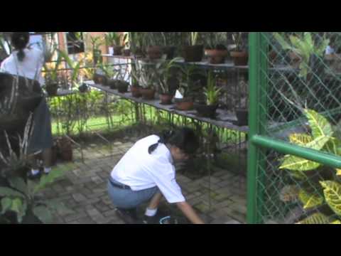 Profile Video KIR 3 Trisma