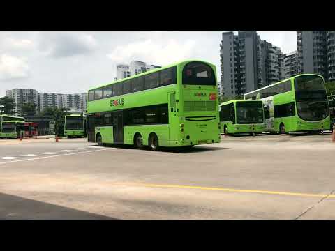 Punggol Int Bus Spotting