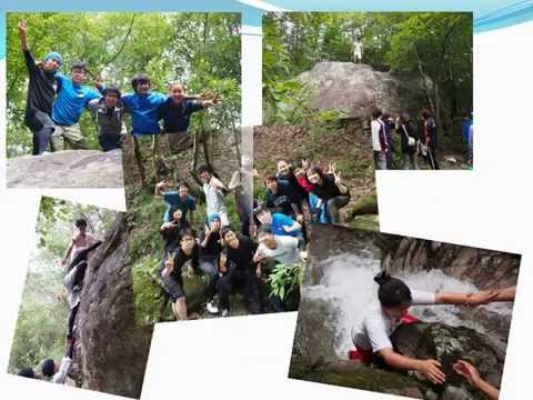 社会福祉学科 淑徳大学教育学部こども教育学科　自然探索　千年の森自然の家