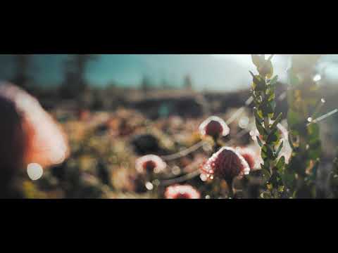 Gayax - Culture (Original Mix)(High Emotions Recordings)