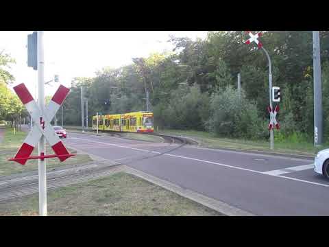 Überlandstraßenbahn Halle - Bad Dürrenberg