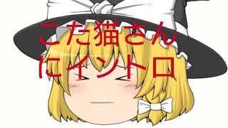 こた猫 こた猫さんにイントロ 概要欄