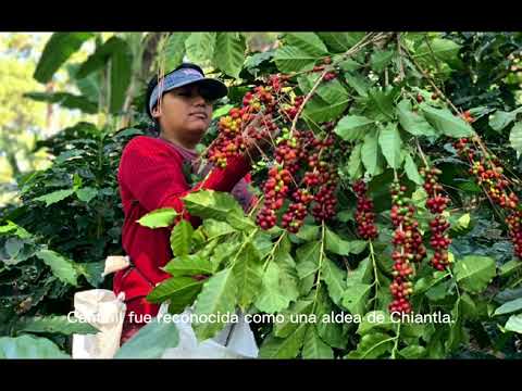 Historia de Union cantinil 