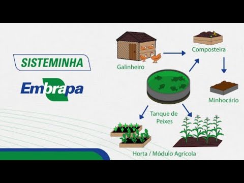 Sisteminha da EMBRAPA completo - Criação de Galinha???