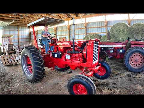 New Calves & the Farmall 856 Gets a Canopy