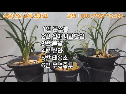 유튜브 썸네일